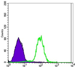 Figure 3: Flow cytometric analysis of NTERA-2 cells using CA9 mouse mAb (green) and negative control (purple).