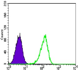 Figure 4: Flow cytometric analysis of Lovo cells using CARM1 mouse mAb (green) and negative control (purple).