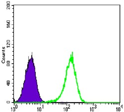 Figure 4: Flow cytometric analysis of K562 cells using NR3C1 mouse mAb (green) and negative control (purple).