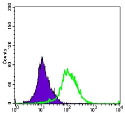 Figure 3: Flow cytometric analysis of K562 cells using AURKA mouse mAb (green) and negative control (purple).