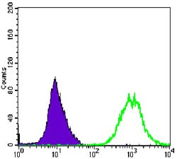 Figure 3: Flow cytometric analysis of Hela cells using ACTA2 mouse mAb (green) and negative control (purple).