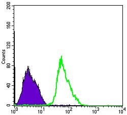 Figure 4: Flow cytometric analysis of PC-2 cells using PRKAA1 mouse mAb (green) and negative control (purple).