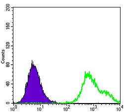 Figure 5: Flow cytometric analysis of HepG2 cells using HSP27 mouse mAb (green) and negative control (purple).