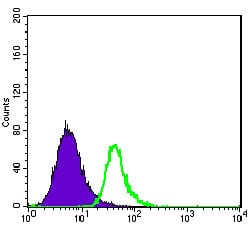 Figure 4: Flow cytometric analysis of HepG2 cells using ABCG2 mouse mAb (green) and negative control (purple).