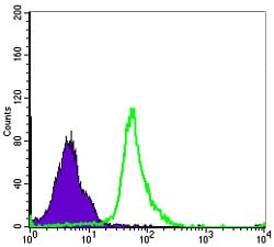 Figure 3: Flow cytometric analysis of MCF-7 cells using NFKB1 mouse mAb (green) and negative control (purple).