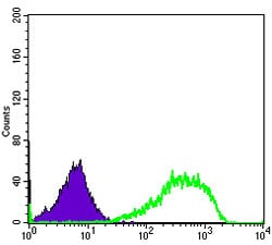 Figure 4: Flow cytometric analysis of Hela cells using XRCC5 mouse mAb (green) and negative control (purple).