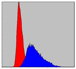 Figure 4: Flow cytometric analysis of Jurkat cells using ITK mouse mAb (blue) and negative control (red).