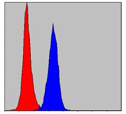 Figure 5: Flow cytometric analysis of NIH/3T3 cells using PRK2 mouse mAb (blue) and negative control (red).