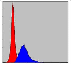 Figure 6: Flow cytometric analysis of MCF-7 cells using CRK mouse mAb (blue) and negative control (red).