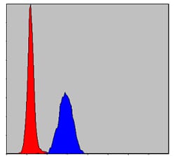 Figure 6: Flow cytometric analysis of Hela cells using MAPK3 mouse mAb (blue) and negative control (red).