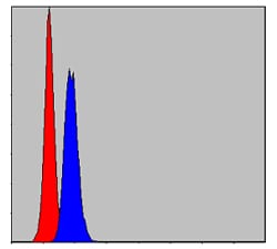 Figure 8: Flow cytometric analysis of MCF-7 cells using PHB mouse mAb (blue) and negative control (red).