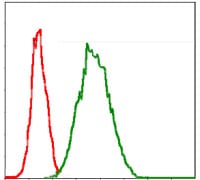 Figure 5: Flow cytometric analysis of Jurkat cells using G6PD mouse mAb (green) and negative control (red).