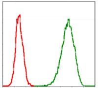 Figure 6: Flow cytometric analysis of Jurkat cells using MCM2 mouse mAb (green) and negative control (red).