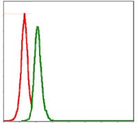 Figure 5: Flow cytometric analysis of MCF-7 cells using SRC mouse mAb (green) and negative control (red).