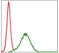 Figure 4: Flow cytometric analysis of HepG2 cells using NQO1 mouse mAb (green) and negative control (red).