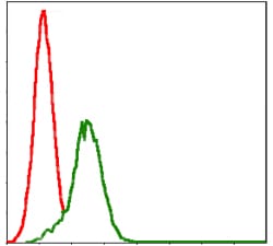 Figure 5: Flow cytometric analysis of Jurkat cells using GSTM1 mouse mAb (green) and negative control (red).
