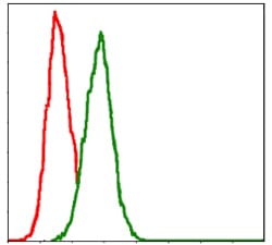 Figure 5: Flow cytometric analysis of Hela cells using GSTM1 mouse mAb (green) and negative control (red).