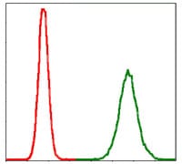 Figure 5: Flow cytometric analysis of MCF-7 cells using PPP2R4 mouse mAb (green) and negative control (red).