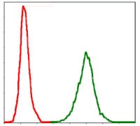 Figure 4: Flow cytometric analysis of Jurkat cells using NEFL mouse mAb (green) and negative control (red).