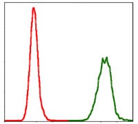 Figure 5: Flow cytometric analysis of Hela cells using NEDD8 mouse mAb (green) and negative control (red).