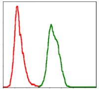 Figure 5: Flow cytometric analysis of Hela cells using SKP1 mouse mAb (green) and negative control (red).