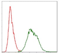 Figure 3: Flow cytometric analysis of Hela cells using UBB mouse mAb (green) and negative control (red).