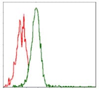 Figure 4: Flow cytometric analysis of Jurkat cells using RPS6KB1 mouse mAb (green) and negative control (red).