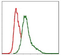 Figure 3: Flow cytometric analysis of MCF-7 cells using ITGB mouse mAb (green) and negative control (red).