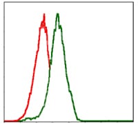 Figure 4: Flow cytometric analysis of Jurkat cells using PIK3CA mouse mAb (green) and negative control (red).