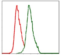 Figure 4: Flow cytometric analysis of MCF-7 cells using ALPL mouse mAb (green) and negative control (red).