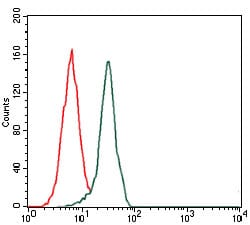 Figure 5: Flow cytometric analysis of HeLa cells using FN1 mouse mAb (green) and negative control (red).