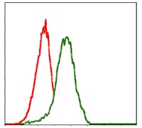 Figure 3: Flow cytometric analysis of Jurkat cells using PDX1 mouse mAb (green) and negative control (red).