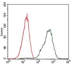 Figure 3: Flow cytometric analysis of Jurkat cells using PDX1 mouse mAb (green) and negative control (red).