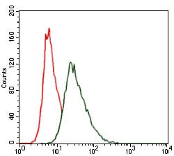 Figure 2: Flow cytometric analysis of HeLa cells using HSF4 mouse mAb (green) and negative control (red).