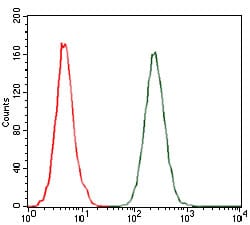 Figure 6: Flow cytometric analysis of A549 cells using CCL2 mouse mAb (green) and negative control (red).