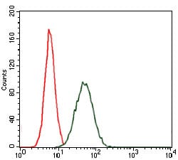 Figure 5: Flow cytometric analysis of MCF-7 cells using CEBPA mouse mAb (green) and negative control (red).