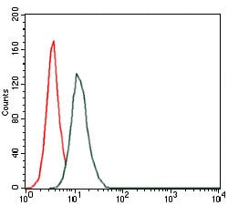 Figure 4: Flow cytometric analysis of HeLa cells using HAS3 mouse mAb (green) and negative control (red).