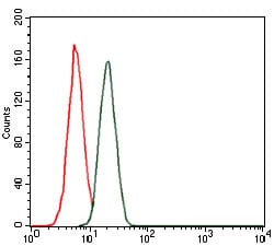 Figure 2: Flow cytometric analysis of MCF-7 cells using troponin T2 mouse mAb (green) and negative control (red).