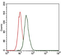 Figure 3: Flow cytometric analysis of HeLa cells using MAP1LC3B mouse mAb (green) and negative control (red).