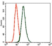 Figure 4: Flow cytometric analysis of SK-N-SH cells using GRIA2 mouse mAb (green) and negative control (red).