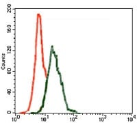 Figure 6: Flow cytometric analysis of Jurkat cells using INCENP mouse mAb (green) and negative control (red).