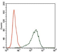 Figure 3: Flow cytometric analysis of HepG2 cells using SRY mouse mAb (green) and negative control (red).