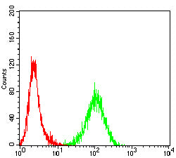 Figure 4:Flow cytometric analysis of Jurkat cells using CCRL2 mouse mAb (green) and negative control (red).