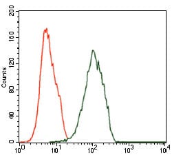 Figure 3: Flow cytometric analysis of Jurkat cells using ILK mouse mAb (green) and negative control (red).