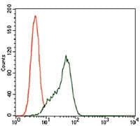 Figure 4: Flow cytometric analysis of K562 cells using STAT5A mouse mAb (green) and negative control (red).