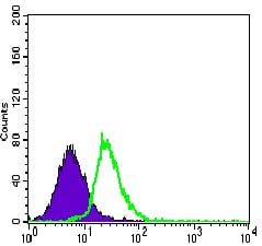 Figure 4: Flow cytometric analysis of HeLa cells using MEF2C mouse mAb (green) and negative control (purple).