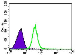 Figure 4: Flow cytometric analysis of HeLa cells using PSAP mouse mAb (green) and negative control (purple).