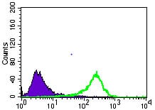 Figure 6: Flow cytometric analysis of HeLa cells using SLC2A4 mouse mAb (green) and negative control (purple).