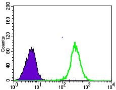 Figure 6: Flow cytometric analysis of HeLa cells using SLC2A4 mouse mAb (green) and negative control (purple).