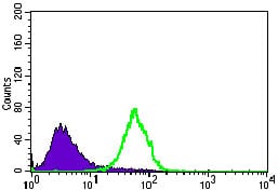 Figure 2: Flow cytometric analysis of HeLa cells using NES mouse mAb (green) and negative control (purple).